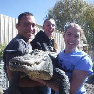 Meet your Posher, Morgan